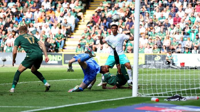 Nhận định, soi kèo Southampton vs Plymouth, 01h00 ngày 30/12