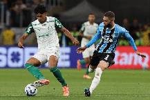 Nhận định, soi kèo Palmeiras vs Gremio, 7h30 ngày 3/4: Giữ chắc ngôi đầu
