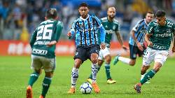 Nhận định, soi kèo Gremio vs Palmeiras, 5h00 ngày 5/7: Khó lên đầu bảng