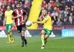 Nhận định bóng đá Sheffield United vs Norwich, 22h00 ngày 7/3