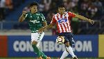 Nhận định Junior Barranquilla vs Palmeiras, 07h30 ngày 7/3 (Copa Libertadores)