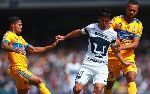 Nhận định Tigres UANL vs Pumas UNAM, 08h00 ngày 7/4 (VĐQG Mexico)