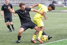 Nhận định, soi kèo Island Bay United vs North Wellington, 10h30 ngày 7/6: Hat-trick thắng cho chủ nhà