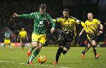 Nhận định Watford vs Norwich, 0h00 ngày 8/7