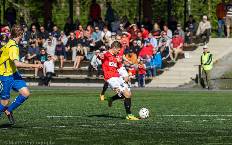 Nhận định, soi kèo JIPPO vs JaPS, 22h30 ngày 10/7: Đòn đau nhớ lâu