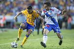 Nhận định Tigres UANL vs Puebla, 9h00 ngày 12/8