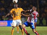 Nhận định Tigres UANL vs Atletico San Luis, 10h00 ngày 12/1