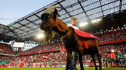 Nhận định, soi kèo Koln vs Heidenheim 1846, 21h30 ngày 13/1