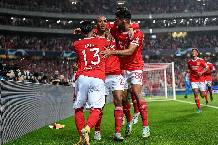 Tiên tri mèo Cass dự đoán Club Brugge vs Benfica, 3h ngày 16/2