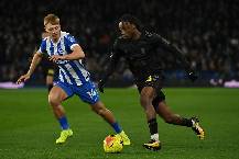 Siêu máy tính dự đoán Sunderland vs Brighton, 22h00 ngày 14/3