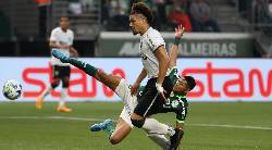 Nhận định, soi kèo Botafogo vs Palmeiras, 7h30 ngày 15/8: Tận dụng lợi thế