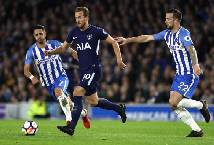 Nhận định, soi kèo Tottenham vs Brighton, 18h30 ngày 16/4