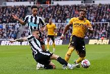 Nhận định, soi kèo Wolves vs Newcastle, 21h00 ngày 18/1: Phong độ đang lên