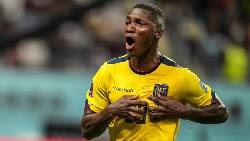 Nhận định, soi k&egrave;o Ecuador vs New Zealand, 08h30 ng&agrave;y 19/11: T&igrave;m lại niềm vui