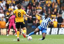 Nhận định, soi kèo Brighton vs Wolves, 2h45 ngày 23/1