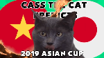 Tiên tri mèo Cass dự đoán Việt Nam vs Nhật Bản, 20h00 ngày 24/1