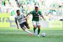 Nhận định, soi kèo Palmeiras vs Fluminense, 07h30 ngày 23/11: Vua sân nhà gặp gà sân khách
