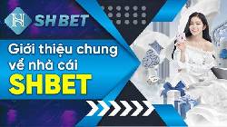 Tổng quan SHBet - Đánh giá chất lượng nhà cái uy tín 