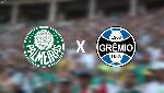 Nhận định Palmeiras vs Gremio, 07h30 28/8 (Copa Libertadores)