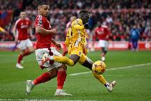 Nhận định, soi kèo Brighton vs Nottingham, 0h15 ngày 30/3: Cơ hội phục thù