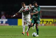 Nhận định, soi kèo Sao Paulo với Palmeiras, 6h00 ngày 30/4: Kỳ phùng địch thủ