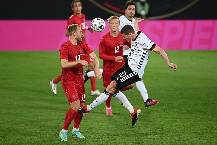 Đại bàng tiên tri dự đoán Đức vs Đan Mạch, 2h00 ngày 30/6