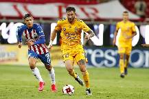 Nhận định, soi kèo San Jose Earthquakes vs Tigres UANL, 10h ngày 31/7