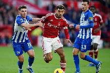 Nhận định, soi kèo Nottingham Forest vs Brighton, 21h05 ngày 30/11: Đất lành chim đậu