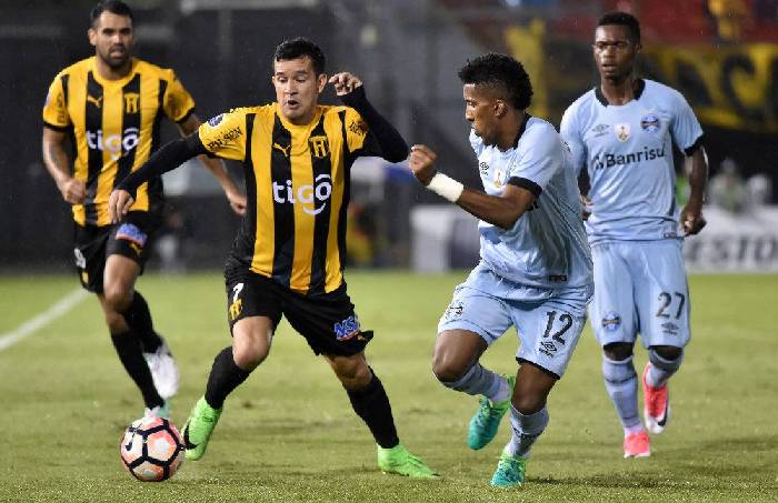 Gremio vs Club Guarani, 7h30 ngày 4/12: Tiếp bài vùi dập Gremio vs Club Guarani, 7h30 ngày 4/12: Tiếp bài vùi dập