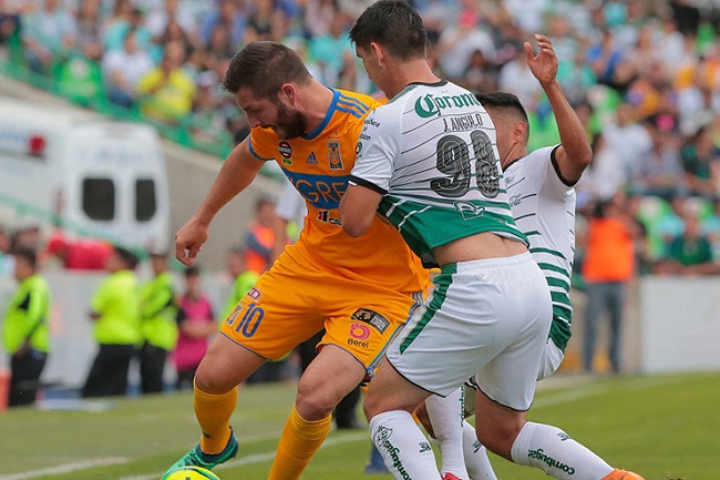 Nhận định Santos Laguna vs Tigres UANL, 7h45 ngày 17/2: Ưu thế chủ nhà