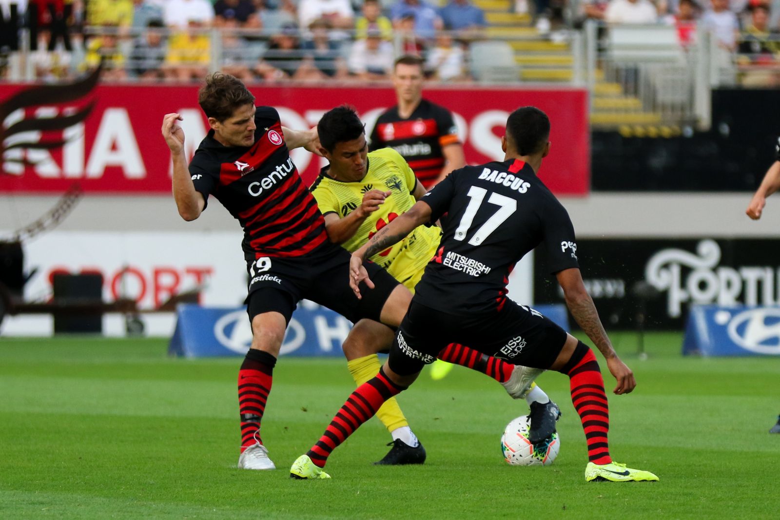 Kết quả đối đầu Wellington Phoenix vs Melbourne City, 13h00 ngày 15/2 Kết quả đối đầu Wellington Phoenix vs Melbourne City, 13h00 ngày 15/2